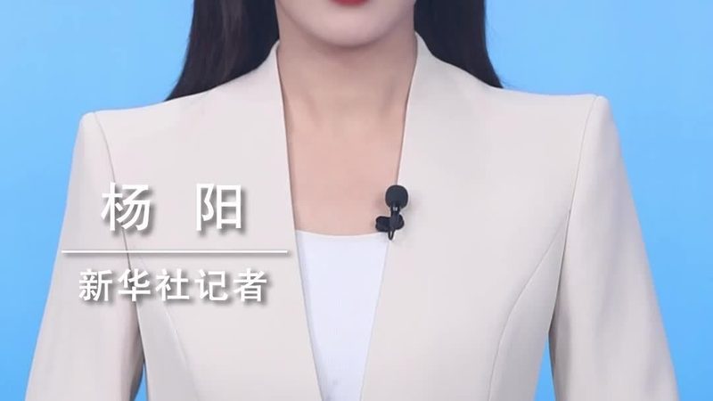数据湖与数据仓库：探析两者优缺点及适用场景